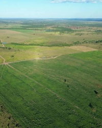 Fazenda com Casa, 3 Quartos e 2 Banheiros em 140 Hectares