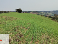 Terreno Rural em Nonoai RS com 8,25ha