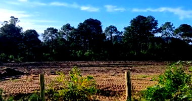 Terreno amplo de 3.980m² em Navegantes, ideal para investimento