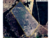 Chácara rural com 14,52ha, área de cultura e campos, desocupada