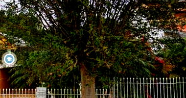 Casa com 201,60m² de área construída em Curitiba/PR