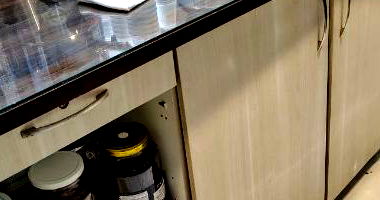 Balcões de self-service/buffet e de Formica - 16m