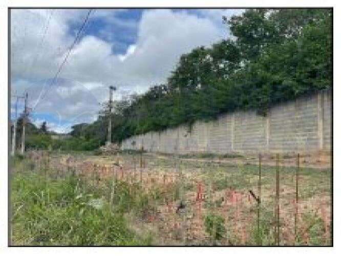 Terreno amplo com 7.220m² em Caruaru - Ideal para investimento