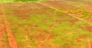 Parte Ideal de Imóvel Rural com 10 ha em Camapuã - MS