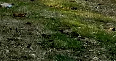 Terreno com 461,64m² no Vale dos Sonhos