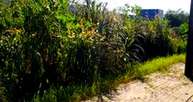 Terreno Urbano com 830,48m² em Dois Vizinhos-PR