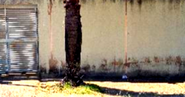 Casa com 90m² em Anápolis/GO - Residencial Aldeia dos Sonhos