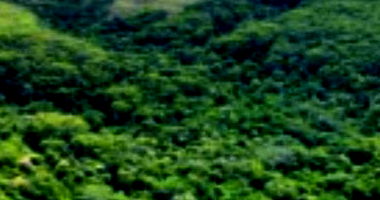 Terreno Rural de 33.3403 ha em Mineiros/GO