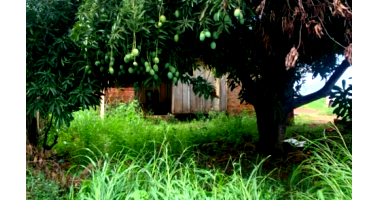 Terreno 450m² em Rolim de Moura/RO