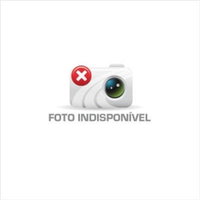 3 Veículos Honda CG 160 Cargo