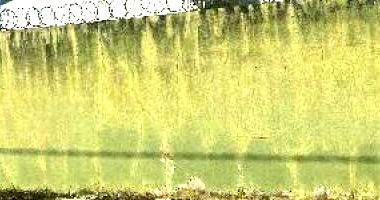 Casa com 96,82m² em Sete Lagoas