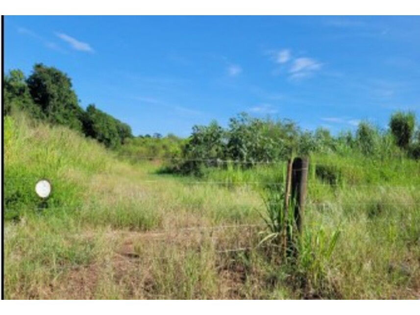 Gleba Rural em Leilão - Oportunidade Única em Paranavaí