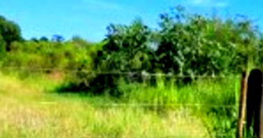 Gleba Rural em Leilão - Oportunidade Única em Paranavaí
