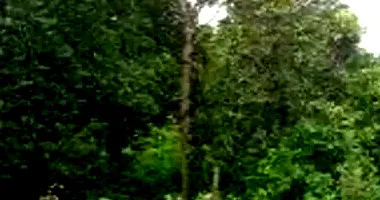 Terreno em Leilão com Ampla Área