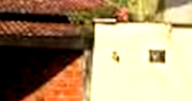 Casa Ocupada com 4 Quartos no Centro de Campos Lindos/TO