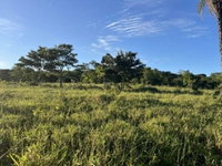 Área Rural de 25 Alqueires em Anicuns/GO