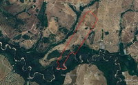 Imóvel Rural com 100,59 hectares, área total