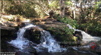 Gleba rural de 26,77 ha em Orizona/GO, sem benfeitorias