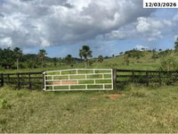 Sítio rural produtivo com 25,03 hectares