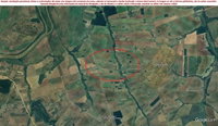 Lote rural com 8,95 alqueires em Icaraíma/PR