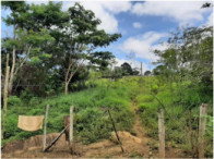 Imóvel rural com 41,89 ha - Ibicaraí/BA