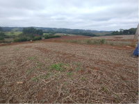Terreno Rural com 5,33 ha e Barracão - Frei Rogério/SC
