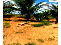 Sítio com 13 hectares em Barra do Choça/BA