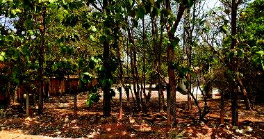 Terreno de 387,30m² em Gurupi/TO - Oportunidade Única!