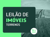 Terreno urbano 300m² em Trizidela do Vale/MA - Lote N°03