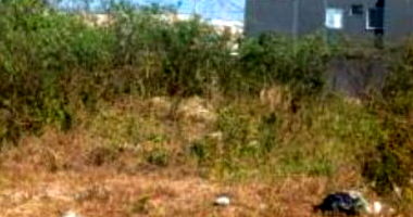 Terreno em Residencial Veredas com 220m² - Ocupado