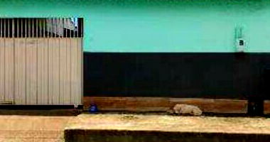 Casa Residencial com 2 Quartos em Cocalzinho de Goiás/GO