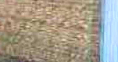 Casa padrão com 3 quartos, 2 banheiros, 1 vaga, área construída 146m²