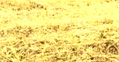 Terreno em Leilão com 239,75m² em Dracena/SP