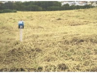 Terreno em Leilão com 239,75m² em Dracena/SP