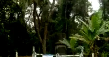 Terreno de 100.711,74m² em Sitio Tanquinho