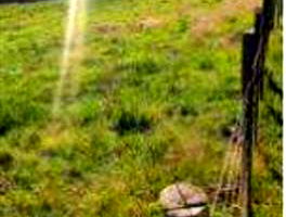 Terreno Urbano com Área Total de 2.305,00m² em Erval Seco/RS