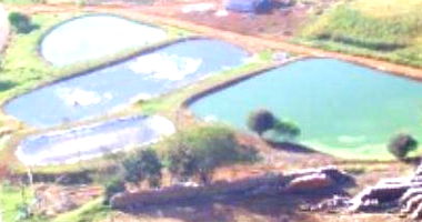 Imóvel Rural com Benfeitorias e Casa, Área 4,89 ha, Ocupado