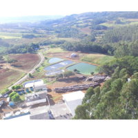 Imóvel Rural com Benfeitorias e Casa, Área 4,89 ha