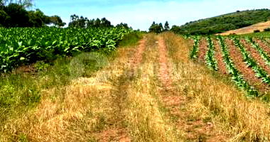 Fração de terras com 60.000m² em Tupanciretã/RS