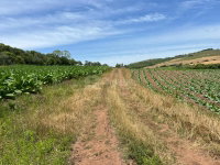 Fração de terras com 60.000m² em Tupanciretã/RS