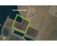 Fazenda 88,8ha Ocupada em Lucas do Rio Verde