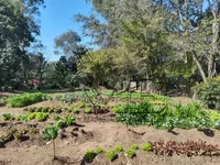 Excelente Sítio com 4,8 hectares em Viamão