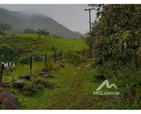 Fazenda Camafeu em Silva Jardim - 305,80 hectares