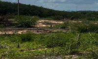 Lote em Loteamento Araras, 150m²