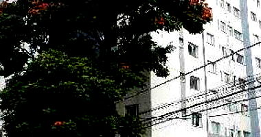 Apartamento com 2 quartos em São Paulo