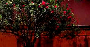 Casa com 99,49 m² - Ocupada