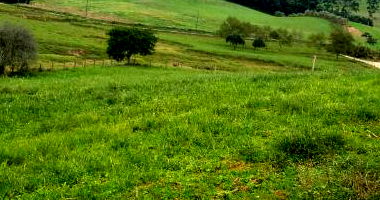Terreno rural amplo de 15.000 m² em área valorizada