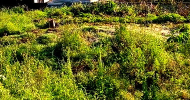 Terreno Urbano Amplo em Francisco Beltrão/PR com 2.812,06 m²