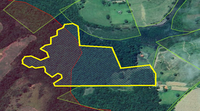 Terreno Rural com 12,4625 Hectares em Sarapuí/SP