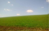 Parte ideal de 50% em imóvel rural com 29,04 hectares